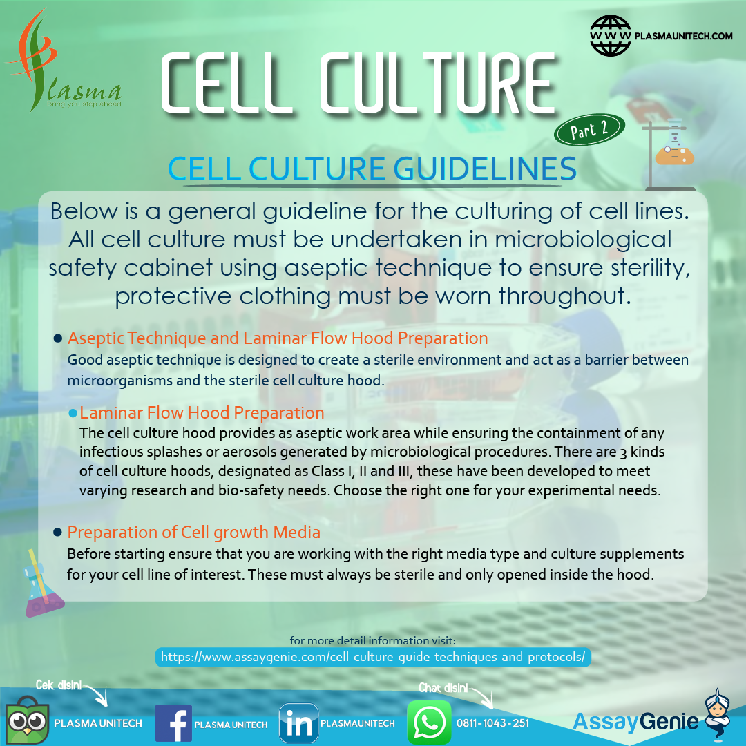 CELL CULTURE - WHAT IS CELL CULTURE? Part 2